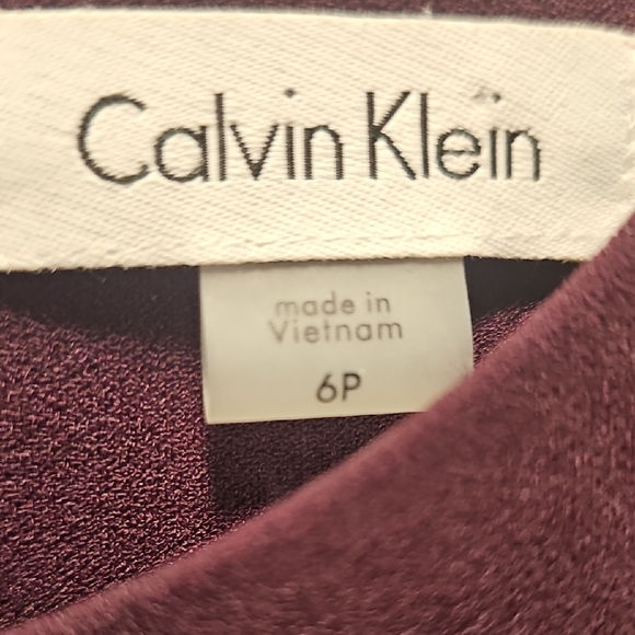 Calvin Klein Sleeveless, Plum Dress, Fitted Bodice, Flare Skirt, Size 6P - Picture 2 of 6